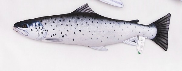 POLŠTÁŘ PSTRUH MOŘSKÝ 51 CM MINI