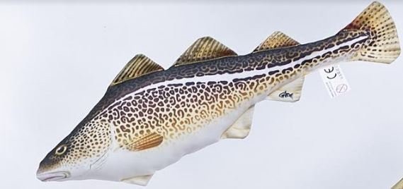 POLŠTÁŘ TRESKA OBECNÁ 38 CM MINI