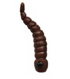 Maskovaci cerv carprus (1)