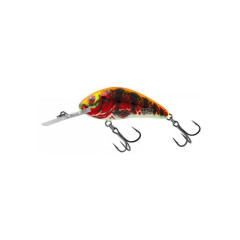 SALMO Wobler Rattlin hornet 3,5cm barva HOLO RED PERCH RG_035_FL_HRP