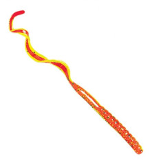 Culprit worm Tomato C720-73