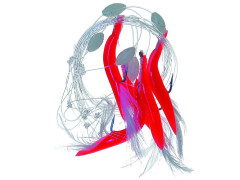 ICE FISH Návazec na moře typ paprika peříčko červené  (1172)