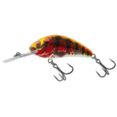SALMO Rattlin Hornet Floating Holo Red Perch - 5,5 cm 10,5 g