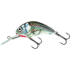 SALMO Hornet 05 F HGS