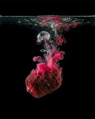 Smoke Liquid Amur (7)