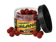 boilies balanc feeder 12mm 80g (17)
