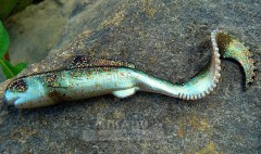 Detail MIKADO SWINGFISH