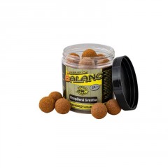 Carp servis Václavík Boilies Balanc 20mm/120g