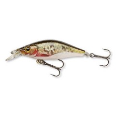 CORMORAN Shallow Baby Shad Reloaded 4 cm  2,5g Dying Roach.