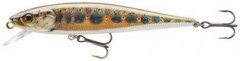 CORMORAN Wobler  Minnow N35 Realfish Design 8,5cm 7g Baby Brown Trout