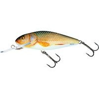 SALMO Executor 8 DR RER QPH005