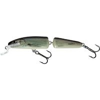 SALMO Fanatic 7 FL RBL QIF002