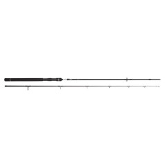 SPRO DSX 2,4m/40-80g