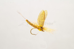 Kingfisher Hexagenia vel.10